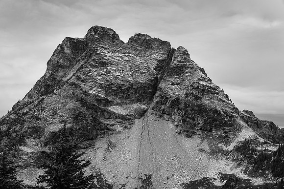 MaplePass-43