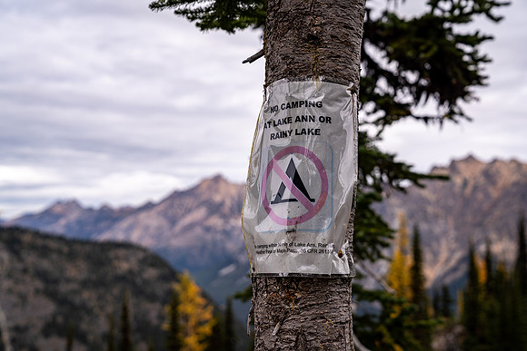 MaplePass-20