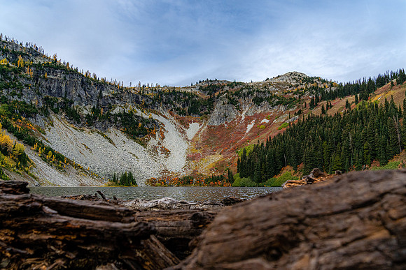 MaplePass-6
