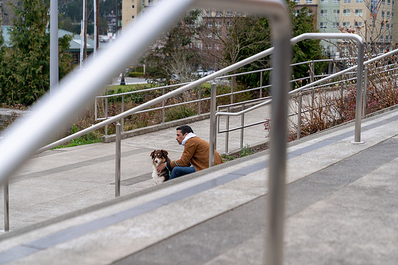 BothellPetChipping-6