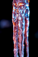 _DSC2145