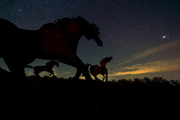 Vantage090521-6