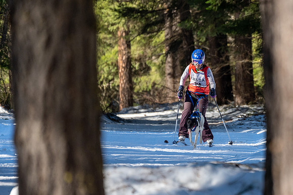 Dogsledding-14