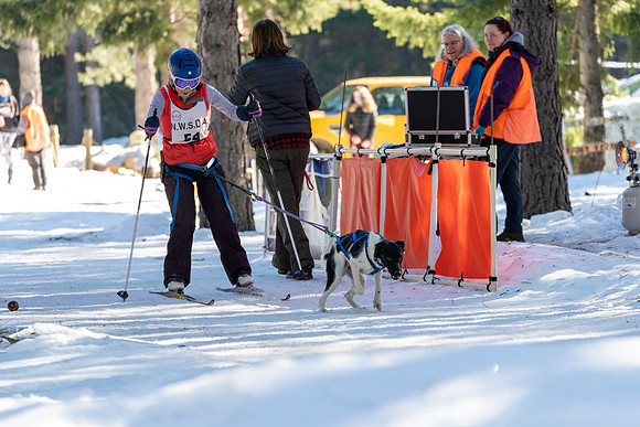 Dogsledding-9