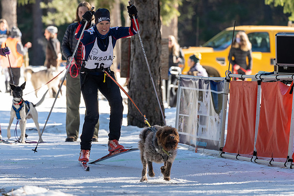 Dogsledding-5