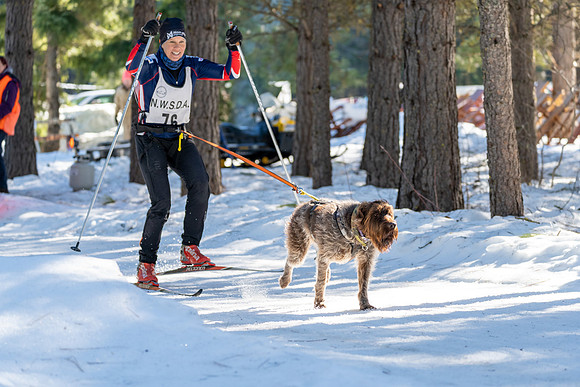 Dogsledding-7