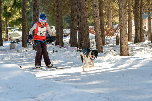 Dogsledding-11