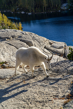 dsc02014jpg_44912645232_o