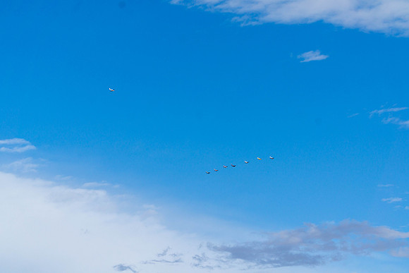 dsc01449jpg_31961876648_o