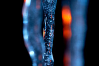 _DSC2175