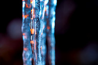 _DSC2158