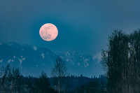Moon04072020-11