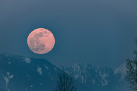 Moon04072020-10