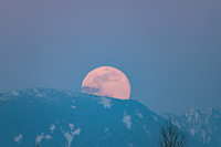 Moon04072020-6