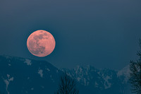 Moon04072020-9