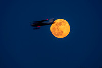 Moon04072020-12