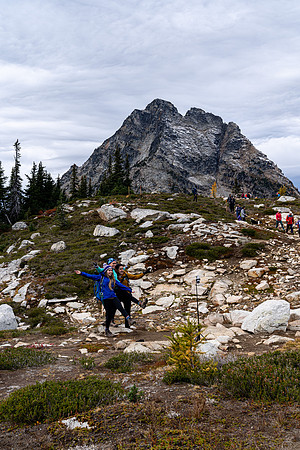 MaplePass-45