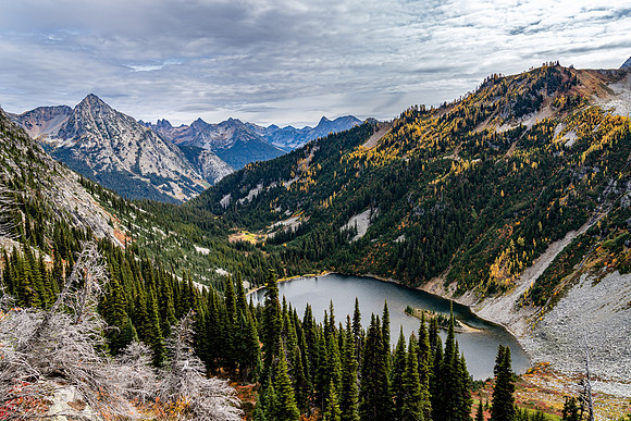 MaplePass-29