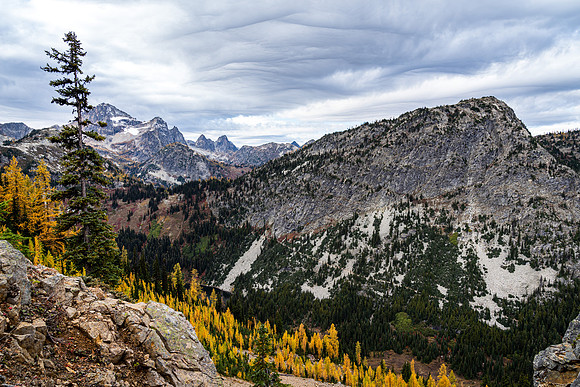 MaplePass-59