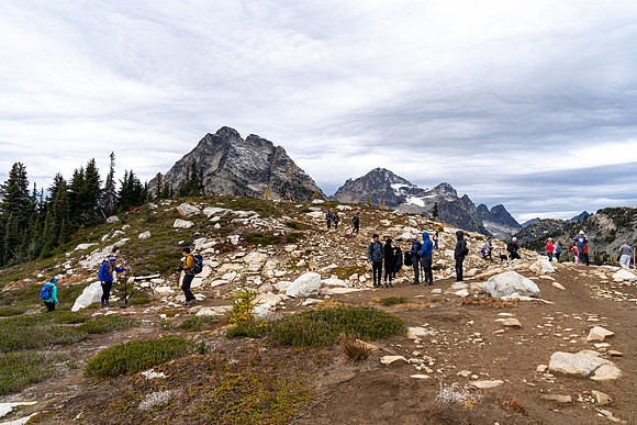MaplePass-46