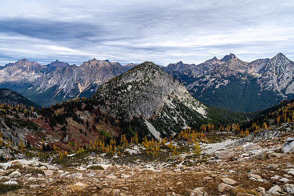 MaplePass-44