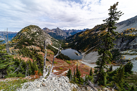 MaplePass-39