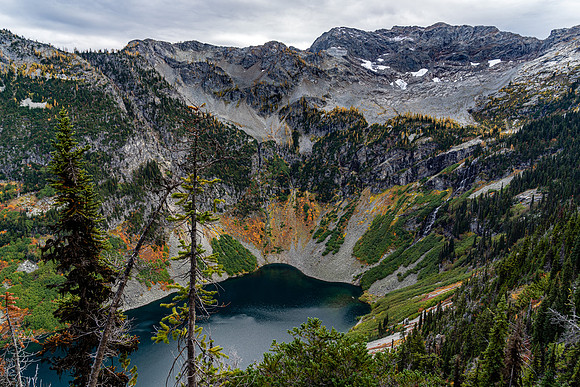 MaplePass-60