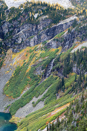 MaplePass-61