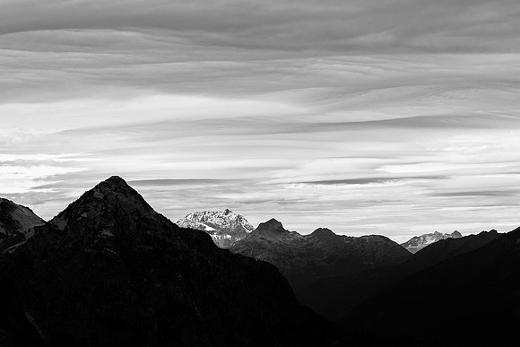 MaplePass-52