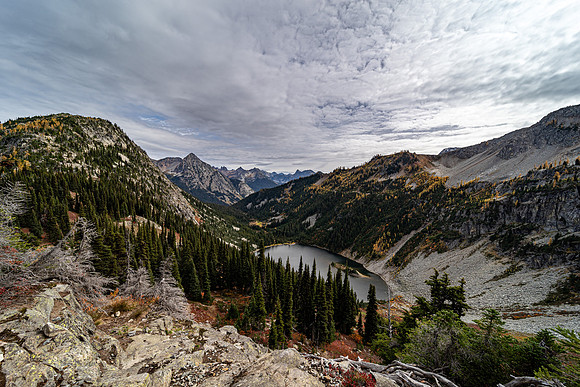 MaplePass-31