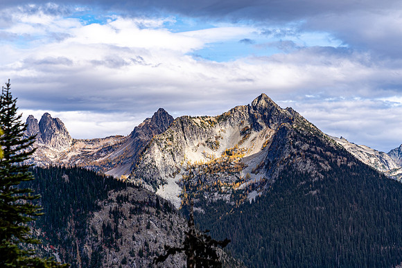MaplePass-62